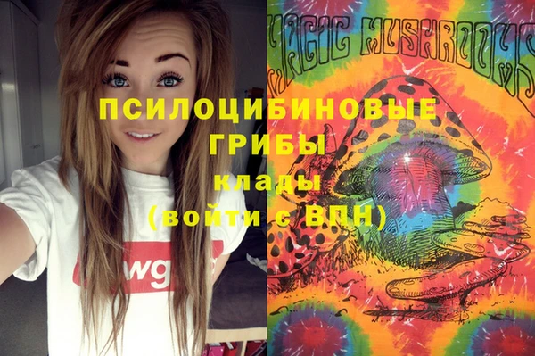 спиды Абинск