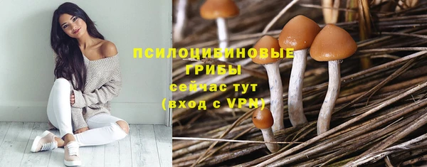 спиды Абинск